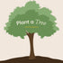 Plant A Tree - Pida Beauty